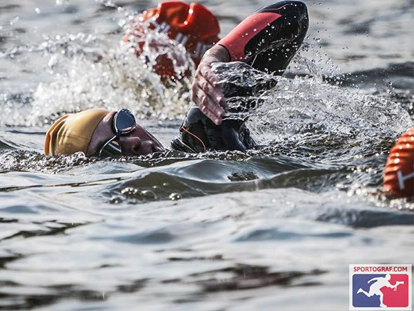 Helen Swim Serpentine