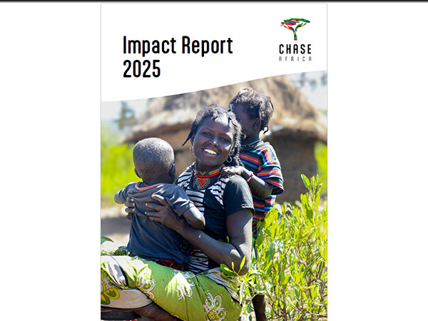 Webiste mid image impact report 2025