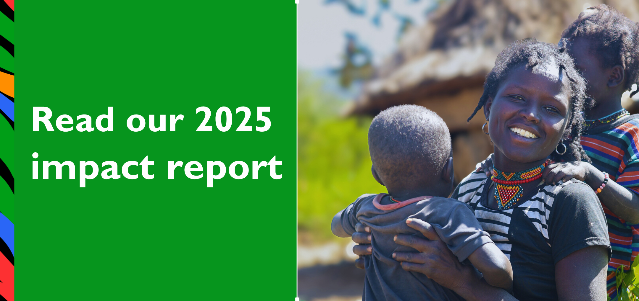 Impact Report website header 1