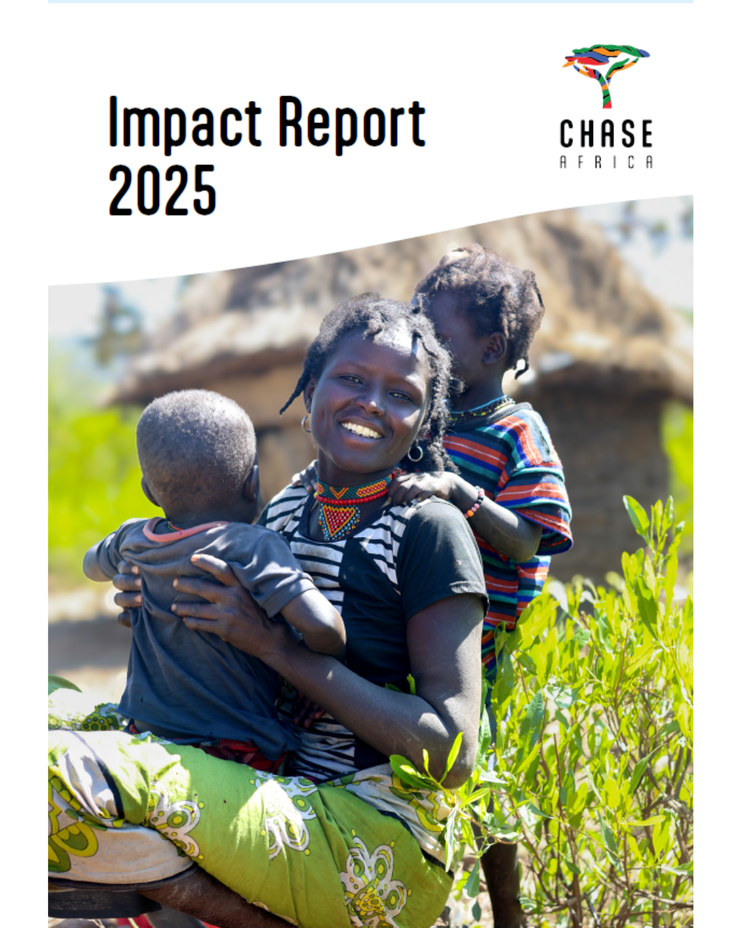 Impact report cover instagram