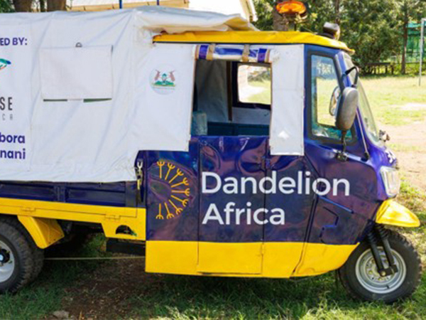 Tuk tuk dandelion
